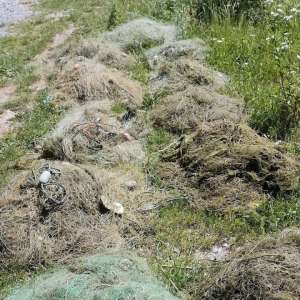 Activități de prevenire a braconajului piscicol