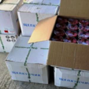 Dosare de contrabandă pentru trafic de otravă de șobolani