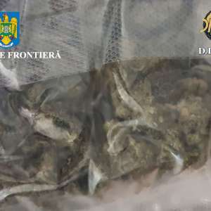 Canabis descoperit  de polițiștii de frontieră în portbagajul unui cetățean român care s-a prezentat în PTF Borș II