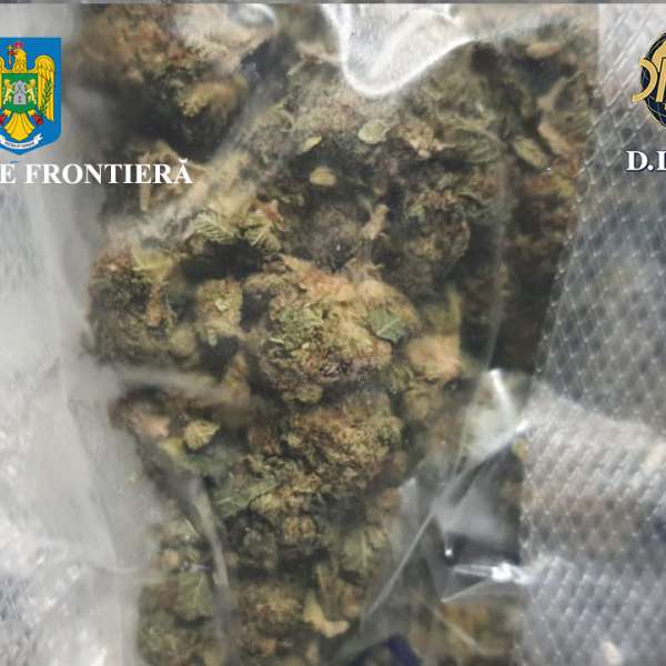 Canabis descoperit de polițiștii de frontieră în portbagajul unui cetățean român care s-a prezentat în PTF Borș II
