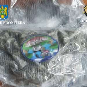 Canabis descoperit  de polițiștii de frontieră în portbagajul unui cetățean român care s-a prezentat în PTF Borș II