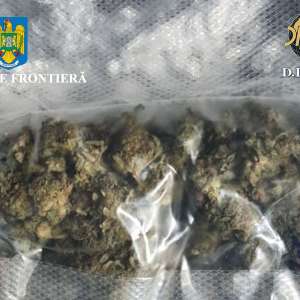 Canabis descoperit  de polițiștii de frontieră în portbagajul unui cetățean român care s-a prezentat în PTF Borș II