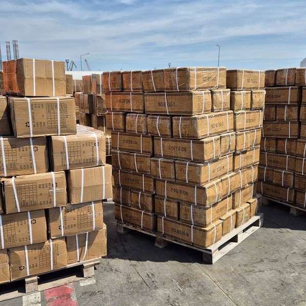 Aproximativ 33.000 perechi de încălțăminte sport contrafăcute, în valoare de 5 milioane euro, depistate în Portul Constanța