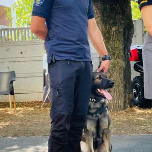 MĂSURI DISPUSE DE POLIŢIA DE FRONTIERĂ PENTRU DESFĂȘURAREA ÎN SIGURANȚA A FESTIVALUL UNTOLD