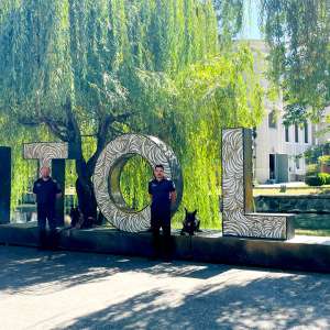 MĂSURI DISPUSE DE POLIŢIA DE FRONTIERĂ PENTRU DESFĂȘURAREA ÎN SIGURANȚA A FESTIVALUL UNTOLD