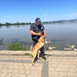 Pregătirea profesională, mereu pe primul loc la ITPF Timișoara