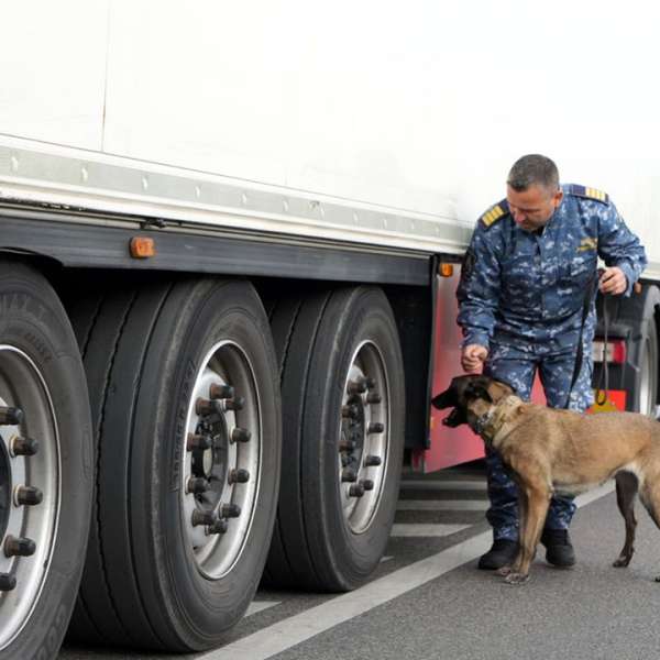 Results recorded at the border in the last 24 hours