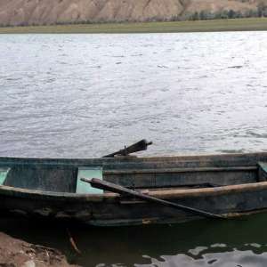 La pescuit comercial fără a deține autorizațiile necesare