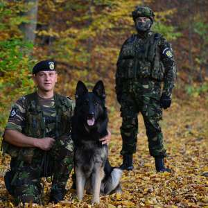 Aproximativ 27.000 de fapte ilegale constatate la frontieră, în primele opt luni ale acestui an