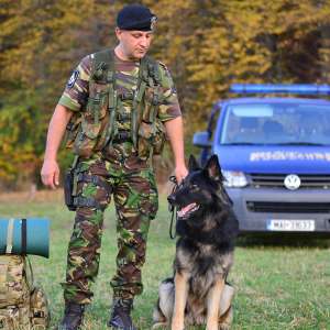 Aproximativ 27.000 de fapte ilegale constatate la frontieră, în primele opt luni ale acestui an