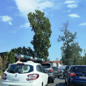 Permis de conducere sârbesc fals, descoperit la frontieră