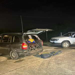 Autoturism încărcat cu peste 250 metri de cablu din cupru, descoperit de polițiștii de frontieră