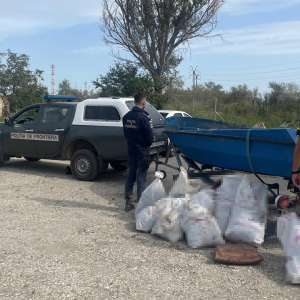 Aproximativ 150 kilograme de pește și peste 2.700 metri de plase descoperite de polițiștii de frontieră