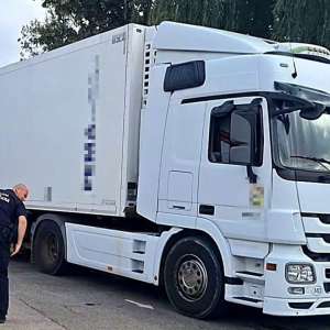 Ansamblu rutier asigurat în fals, descoperit cu ajutorul aplicației eDAC