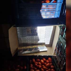 Cetățean român pus sub control judiciar, după ce a încercat să introducă în țară peste un milion de țigarete fără timbru fiscal