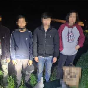 Patru cetățeni vietnamezi opriți din drumul ilegal la frontiera cu Ungaria