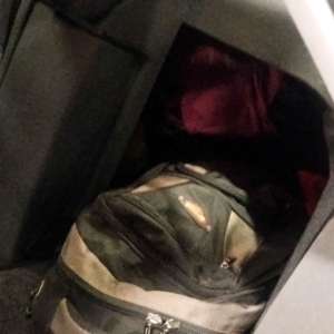 Doi sirieni ascunși în portbagajul unui autoturism, depistaţi în timp ce încercau să iasă ilegal din țară