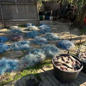 Peste 1.000 de metri de plase mono-filament și 177 kilograme de pește descoperite de polițiștii de frontieră