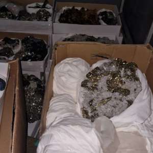 Flori de mină în valoare de 20.000 de euro, descoperite de polițiștii de frontieră