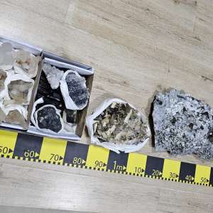 Flori de mină în valoare de 20.000 de euro, descoperite de polițiștii de frontieră