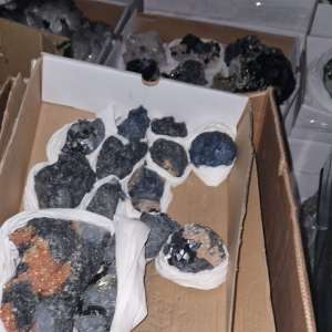 Flori de mină în valoare de 20.000 de euro, descoperite de polițiștii de frontieră