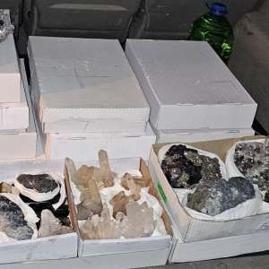 Flori de mină în valoare de 20.000 de euro, descoperite de polițiștii de frontieră