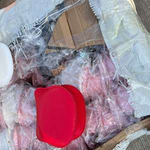 Articole susceptibile a aduce atingere unor mărci protejate, în valoare de aproximativ 250.000 lei, descoperite de polițiștii de frontieră constănțeni