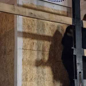 17 cetățeni străini depistați de polițiștii de frontieră arădeni