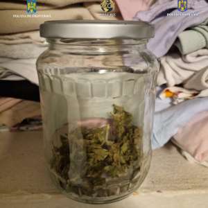 UPDATE: Percheziții domiciliare pentru destructurarea unui grup infracțional organizat, specializat în trafic de migranți