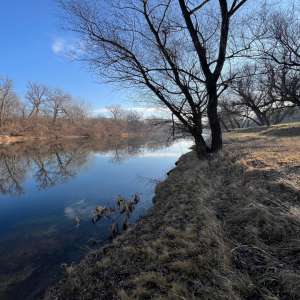 Bărbați pescuind prin metoda „greblare” depistați de polițiștii de frontieră din cadrul Sectorului Poliției de Frontieră Bivolari