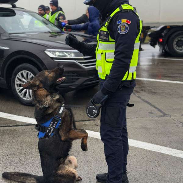 Results recorded at the border in the last 24 hours