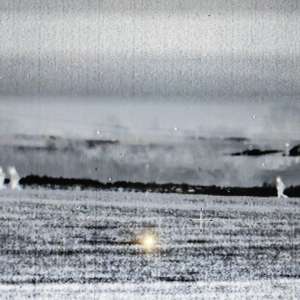 SELEC: Bastionul Cooperării Regionale și Internaționale în Lupta împotriva Criminalității Transfrontaliere