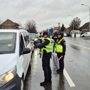 Acţiune în sistem integrat în judeţul Satu Mare