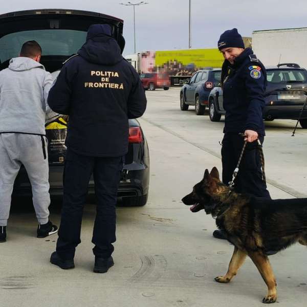 Cețățean român depistat de polițiștii de frontieră din Dolj la volan fără permis de conducere și cu țigări pe bancheta mașinii