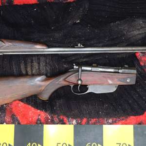 Arme şi muniţie, descoperite de poliţiştii de frontieră în urma unor percheziţii domiciliare