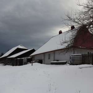 Arme şi muniţie, descoperite de poliţiştii de frontieră în urma unor percheziţii domiciliare