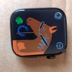 Ceasuri inteligente susceptibile a fi contrafăcute, în valoare de peste 1.500.000 lei, descoperite de polițiștii de frontieră constănțeni