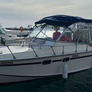 Motor de barcă,  în valoare de 45.000 lei, căutat de către autoritățile din Germania, depistat de polițiștii de frontieră din cadrul Gărzii de Coastă