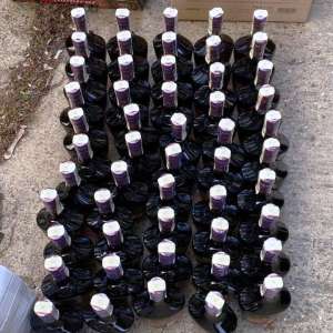 Țigări și sticle de cognac ascunse printre pungi de pufuleţi, confiscate la frontieră