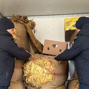 Peste o tonă de tutun vrac ascunsă într-un microbuz