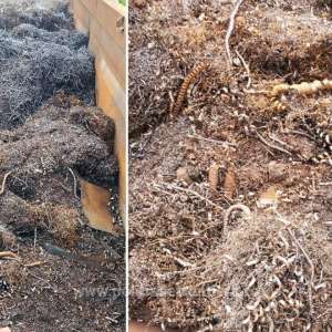 Peste 20.000 kg de deșeuri metalice, oprite de polițiștii de frontieră giurgiuveni