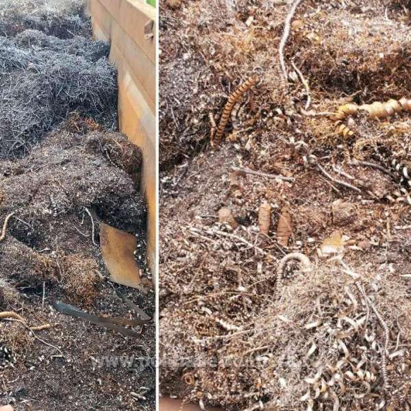 Peste 20.000 kg de deșeuri metalice, oprite de polițiștii de frontieră giurgiuveni