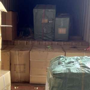 Jucării susceptibile a fi contrafăcute, în valoare de peste 2.000.000 lei, descoperite de polițiștii de frontieră constănțeni