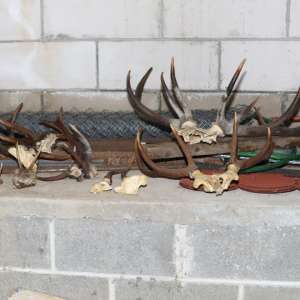 Arme, muniţie și țigări descoperite de poliţiştii de frontieră în urma unor percheziţii domiciliare