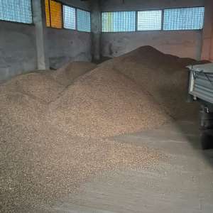 Patru persoane prinse în flagrant de polițiștii de frontieră în timp ce sustrăgeau cereale dintr-o magazie a unei societăți comerciale