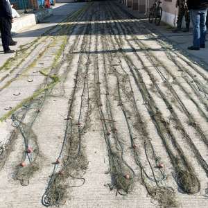 1.250 metri de plase cu o captură de 104 kilograme de pește, descoperite în Canalul Bărbosu de către polițiștii de frontieră tulceni