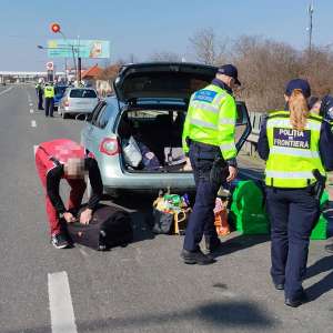 Peste 800 de persoane și 370 mijloace de transport verificate în cadrul unei acțiuni în județul Satu Mare