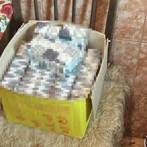 Țigări în valoare de peste 12.300 de lei descoperite de poliţiştii de frontieră  în urma unor percheziţii domiciliare
