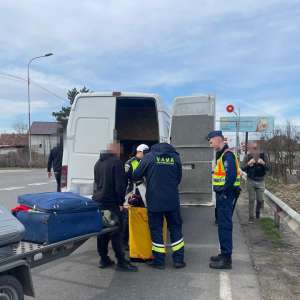 Sancțiuni contravenționale în valoare de peste 34.000 de lei în cadrul unei acțiuni în județul Satu Mare