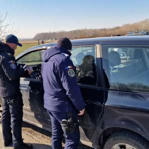 Două permise de conducere false descoperite și 28 de sancțiuni contravenționale aplicate, într-o acțiune în județul Satu Mare